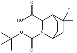 2-Azabicyclo[2.2.2]octane-2,3-dicarboxylic acid, 5,5-difluoro-, 2-(1,1-dimethyle… Structure