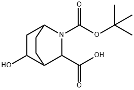 2-Azabicyclo[2.2.2]octane-2,3-dicarboxylic acid, 5-hydroxy-, 2-(1,1-dimethylethy… Struktur