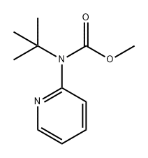 Carbamic acid, N-(1,1-dimethylethyl)-N-2-pyridinyl-, methyl ester,1823372-97-9,结构式