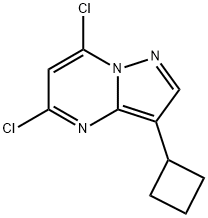 Pyrazolo[1,5-a]pyrimidine, 5,7-dichloro-3-cyclobutyl- Struktur