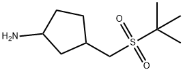 Cyclopentanamine, 3-[[(1,1-dimethylethyl)sulfonyl]methyl]- 化学構造式