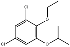 1,5-dichloro-2-ethoxy-3-(propan-2-yloxy)benzene 结构式