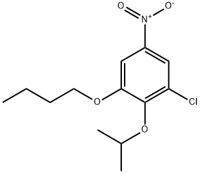 1-butoxy-3-chloro-5-nitro-2-(propan-2-yloxy)benzene,1881329-74-3,结构式