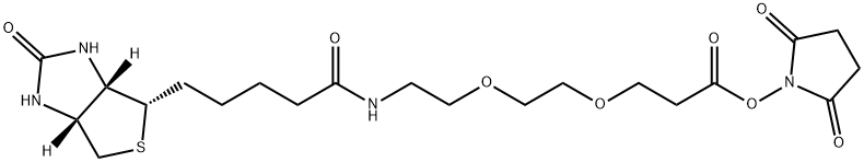 Propanoic acid, 3-[2-[2-[[5-[(3aS,4S,6aR)-hexahydro-2-oxo-1H-thieno[3,4-d]imidazol-4-yl]-1-oxopentyl]amino]ethoxy]ethoxy]-, 2,5-dioxo-1-pyrrolidinyl ester 结构式