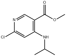 3-Pyridinecarboxylic acid, 6-chloro-4-[(1-methylethyl)amino]-, methyl ester Struktur