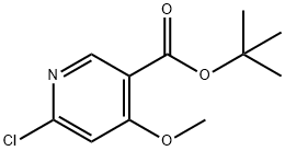 6-氯-4-甲氧基烟酸叔丁酯,1902116-86-2,结构式