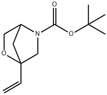 1910065-70-1 Tert-butyl 1-ethenyl-2-oxa-5-azabicyclo[2.2.1]heptane-5-carboxylate