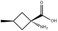 Cyclobutanecarboxylic acid, 1-amino-3-methyl-, cis- 化学構造式