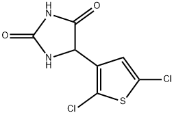 5-(2,5-dichlorothiophen-3-yl)imidazolidine-2,4-dione Structure