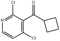 Cyclobutyl(2,4-dichloropyridin-3-yl)methanone,1934564-77-8,结构式