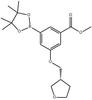 1948235-24-2 (R)-3-((四氢呋喃-3-基)甲氧基)-5-(4,4,5,5-四甲基-1,3,2-二氧硼杂硼烷-2-基)苯甲酸甲酯