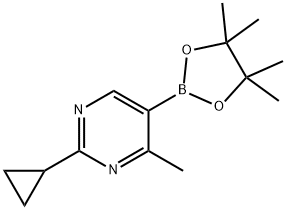 Pyrimidine, 2-cyclopropyl-4-methyl-5-(4,4,5,5-tetramethyl-1,3,2-dioxaborolan-2-yl)-|2-环丙基-4-甲基-5-(4,4,5,5-四甲基-1,3,2-二氧硼杂环戊烷-2-基)嘧啶