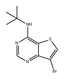 1964517-61-0 Thieno[3,2-d]pyrimidin-4-amine, 7-bromo-N-(1,1-dimethylethyl)-