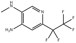 N3-甲基-6-(全氟乙基)吡啶-3,4-二胺, 1982344-70-6, 结构式