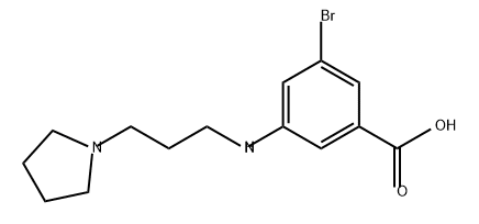 Benzoic acid, 3-bromo-5-[[3-(1-pyrrolidinyl)propyl]amino]- Structure