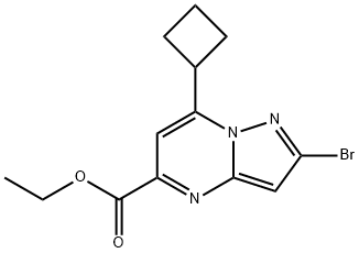 Pyrazolo[1,5-a]pyrimidine-5-carboxylic acid, 2-bromo-7-cyclobutyl-, ethyl ester 化学構造式