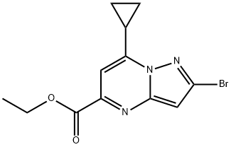 Pyrazolo[1,5-a]pyrimidine-5-carboxylic acid, 2-bromo-7-cyclopropyl-, ethyl ester 化学構造式