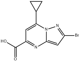 2-溴-7-环丙基吡唑并[1,5 A]嘧啶-5-羧酸, 2035418-56-3, 结构式