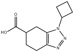 3-Cyclobutyl-4,5,6,7-tetrahydrobenzotriazole-5-carboxylic acid 化学構造式