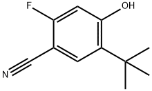 5-(叔丁基)-2-氟-4-羟基苯腈,2088367-58-0,结构式