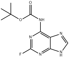 2088983-35-9|(2-氟-9H-嘌呤-6-基)氨基甲酸叔丁酯