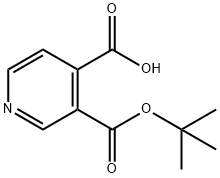 3,4-Pyridinedicarboxylic acid, 3-(1,1-dimethylethyl) ester Struktur