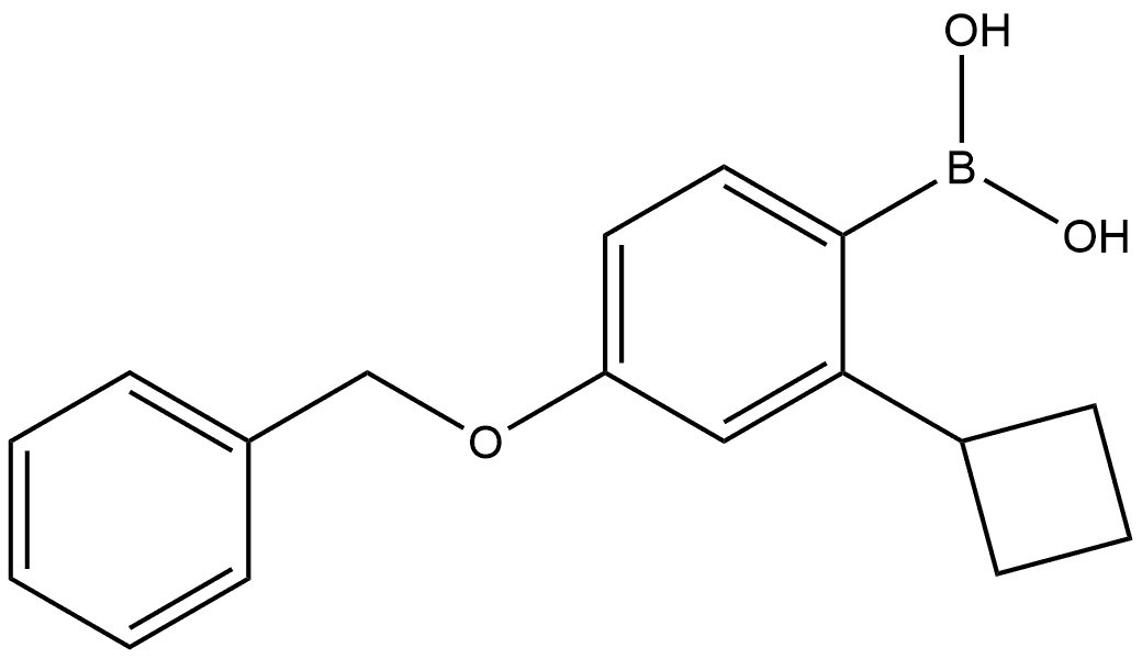 2-Cyclobutyl-4-benzyloxy-benzeneboronic acid Structure