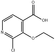 2-Chloro-3-ethoxy-4-pyridinecarboxylic acid|2-氯-3-乙氧基-4-吡啶甲酸