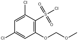 2,4-dichloro-6-(methoxymethoxy)benzene-1-sulfonyl chloride|2,4-二氯-6-(甲氧基甲氧基)苯磺酰氯