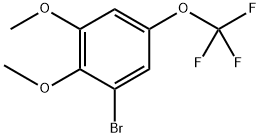 1-bromo-2,3-dimethoxy-5-(trifluoromethoxy)benzene Structure