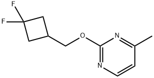 2-[(3,3-DifluoroCyclobutyl)methoxy]-4-methylpyrimidine Struktur