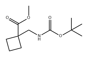 Cyclobutanecarboxylic acid, 1-[[[(1,1-dimethylethoxy)carbonyl]amino]methyl]-, methyl ester,220145-18-6,结构式