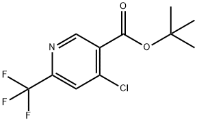 3-Pyridinecarboxylic acid, 4-chloro-6-(trifluoromethyl)-, 1,1-dimethylethyl ester Structure