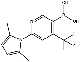 2209066-06-6 (6-(2,5-二甲基-1H-吡咯-1-基)-4-(三氟甲基)吡啶-3-基)硼酸