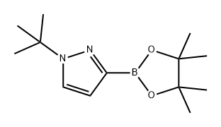 1H-Pyrazole, 1-(1,1-dimethylethyl)-3-(4,4,5,5-tetramethyl-1,3,2-dioxaborolan-2-yl)- Struktur