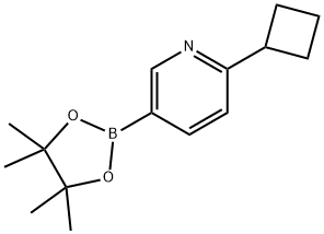 2-环丁基-5-(4,4,5,5-四甲基-1,3,2-二氧杂硼烷-2-基)吡啶, 2223038-89-7, 结构式