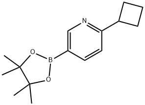 2-cyclobutyl-5-(4,4,5,5-tetramethyl-1,3,2-dioxabor olan-2-yl)pyridine Structure