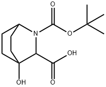 2-Azabicyclo[2.2.2]octane-2,3-dicarboxylic acid, 4-hydroxy-, 2-(1,1-dimethylethy… Struktur