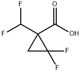 1-(difluoromethyl)-2,2-difluorocyclopropane-1-car boxylic acid Structure