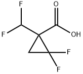 1-(二氟甲基)-2,2-二氟环丙烷-1-羧酸,2228576-55-2,结构式