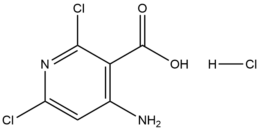 4-氨基-2,6-二氯吡啶-3-羧酸盐酸盐,2241130-14-1,结构式