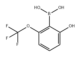 Boronic acid, B-[2-hydroxy-6-(trifluoromethoxy)phenyl]- Struktur