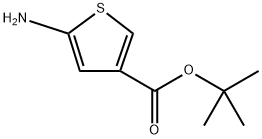 tert-butyl 5-aminothiophene-3-carboxylate Structure