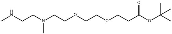 N,N'-DME-N-PEG2-Boc 化学構造式