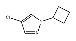 4-氯-1-环丁基-1H-吡唑,2282561-01-5,结构式