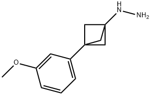 [3-(3-Methoxyphenyl)bicyclo[1.1.1]pent-1-yl]hydrazine Structure