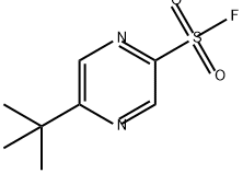 2294233-19-3 5-tert-butylpyrazine-2-sulfonyl fluoride