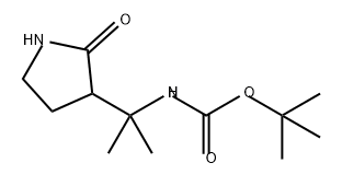 Carbamic acid, N-[1-methyl-1-(2-oxo-3-pyrrolidinyl)ethyl]-, 1,1-dimethylethyl ester Struktur