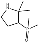 (2,2-二甲基吡咯烷-3-基)二甲基氧化膦,2377035-89-5,结构式