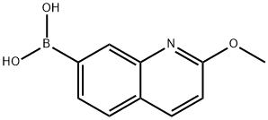 2-Methoxyquinoline-7-boronic acid Structure